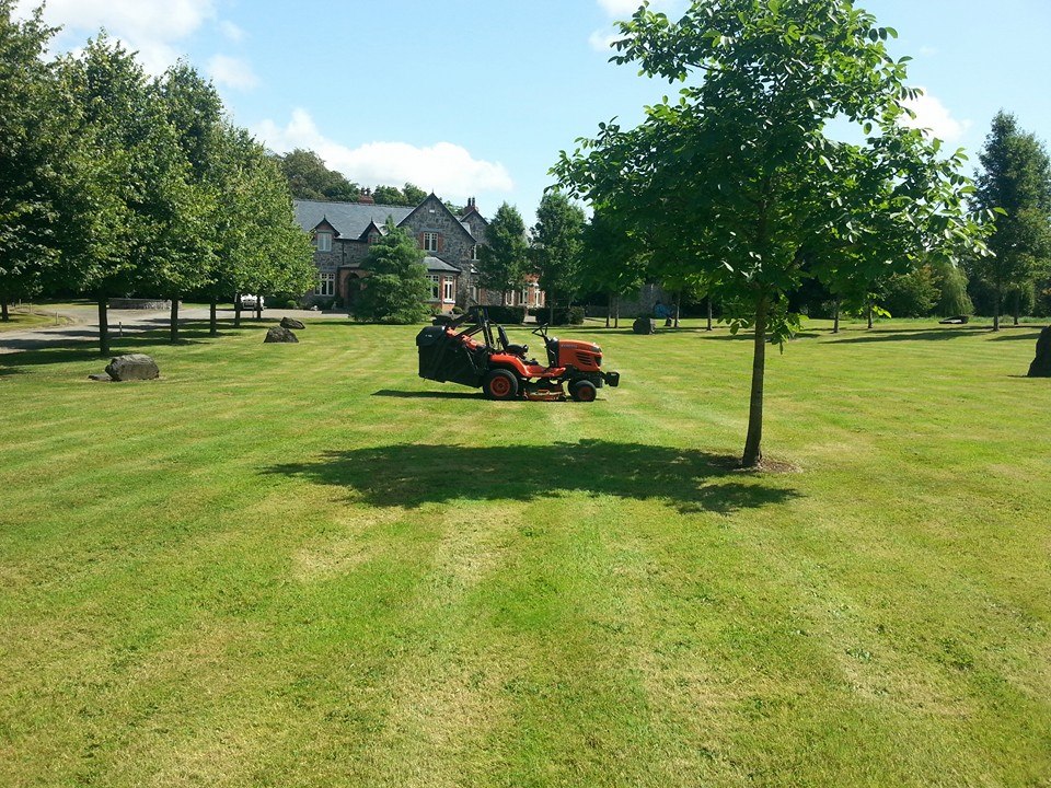 limerick lawn cutting