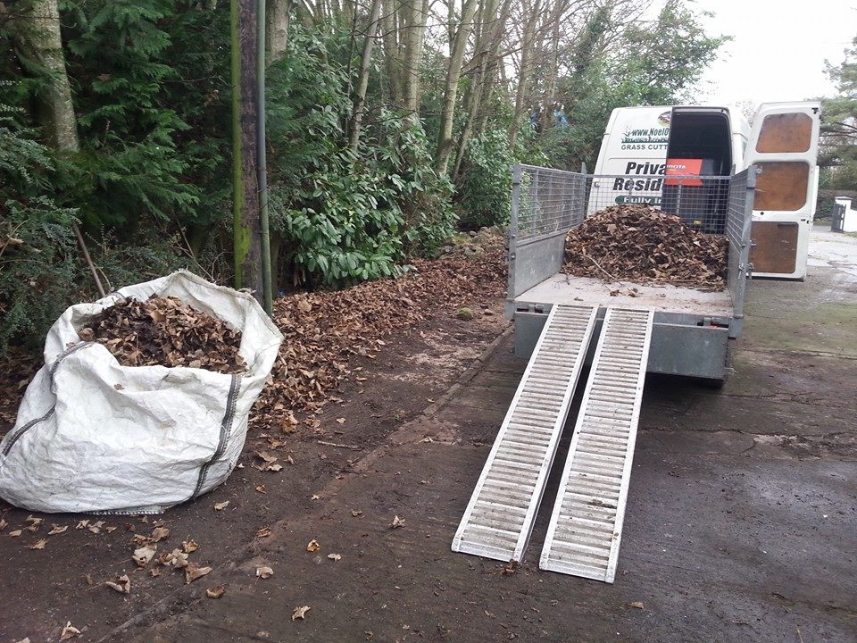 limerick leaf blowing